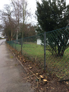 Friedhof am Müllerberg (Hecke an der Straße!)