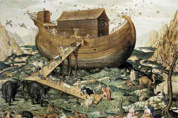 arche noah bild